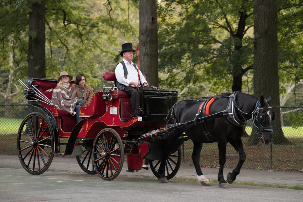 レイニーデイ・イン・ニューヨーク 14枚目の写真・画像