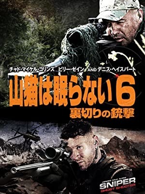 山猫は眠らない6　裏切りの銃撃 1枚目の写真・画像