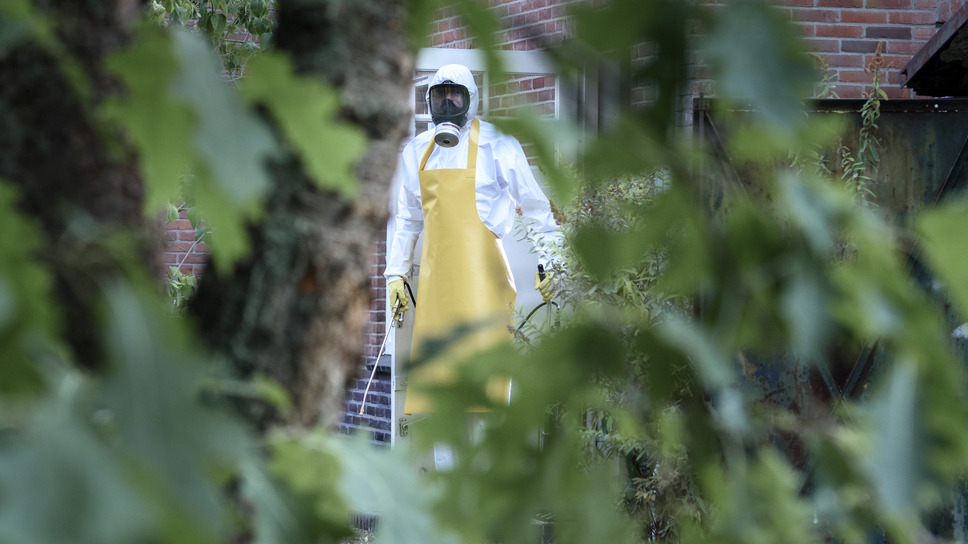 ロード・インフェルノ 8枚目の写真・画像