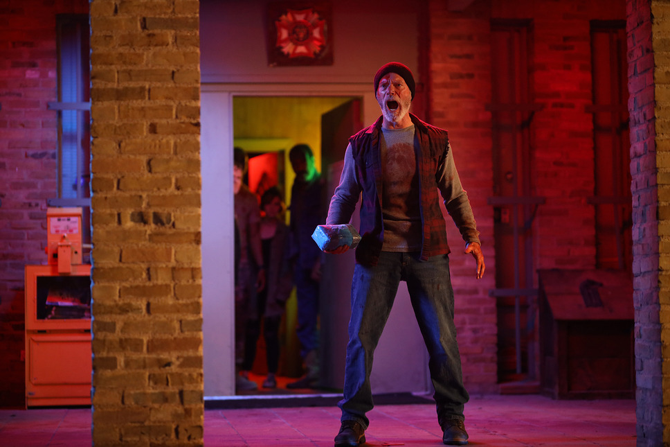 VETERAN　ヴェテラン 10枚目の写真・画像