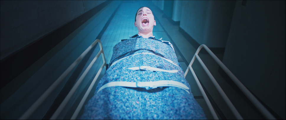 エクスペリメント・アット・セントレオナルズ女子刑務所 5枚目の写真・画像