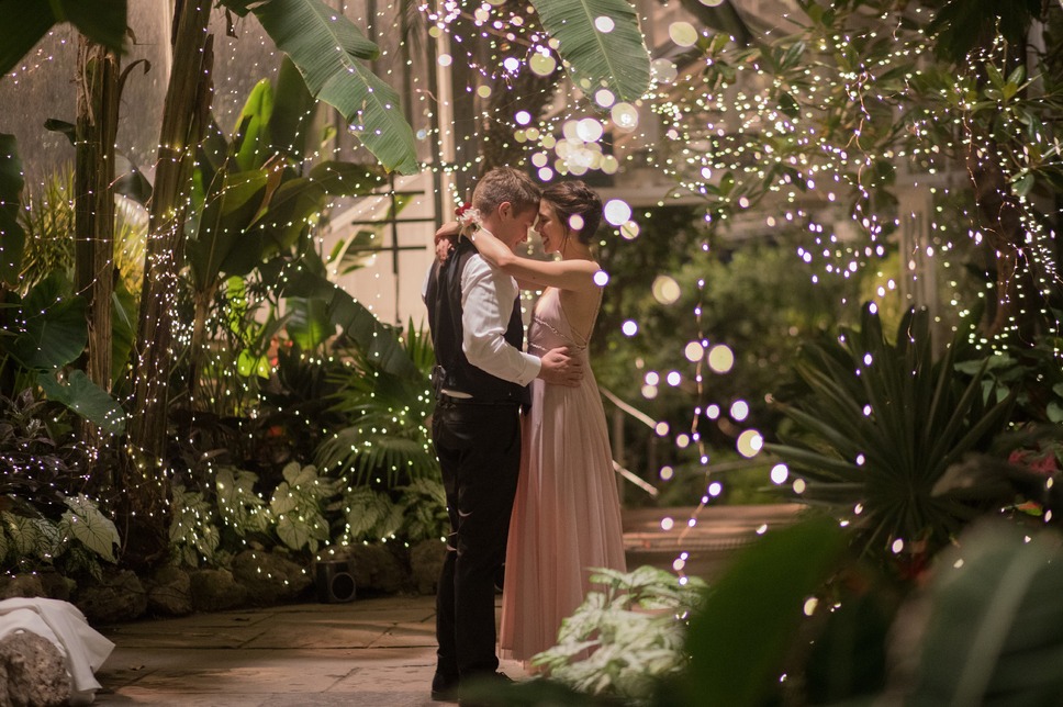 ストレンジ・アフェア 6枚目の写真・画像