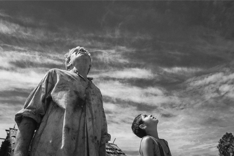 異端の鳥 6枚目の写真・画像