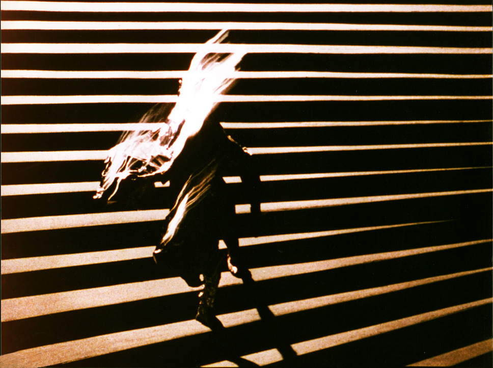 天使/L'ANGE 2枚目の写真・画像