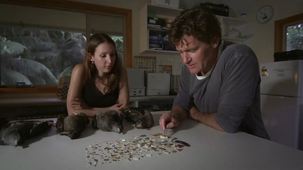 プラスチックの海 3枚目の写真・画像