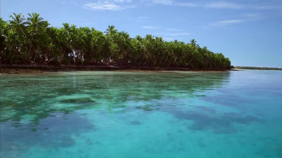 プラスチックの海 11枚目の写真・画像