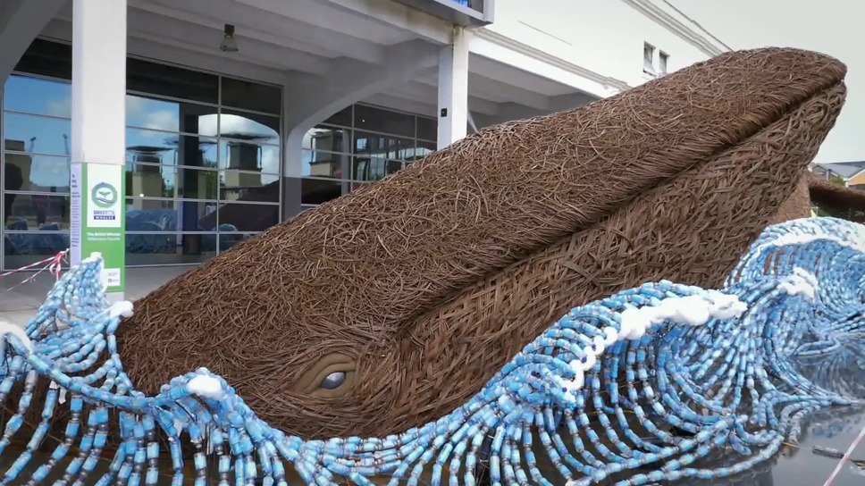 プラスチックの海 12枚目の写真・画像