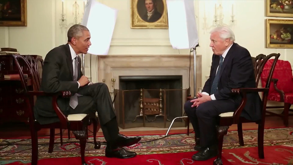 プラスチックの海 17枚目の写真・画像