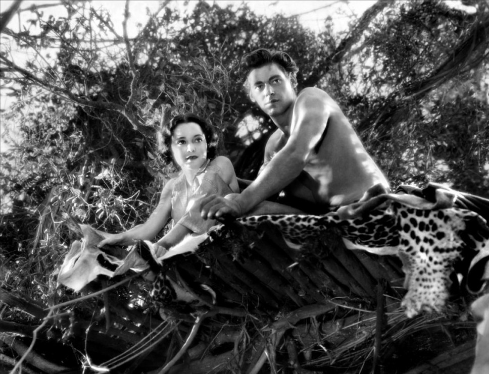 類猿人ターザン (1932) 2枚目の写真・画像