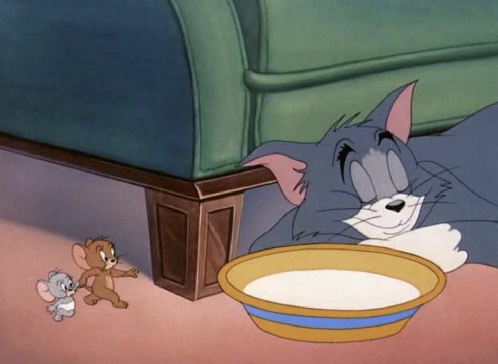 台所戦争 2枚目の写真・画像