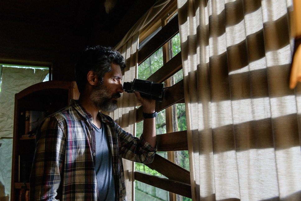 キル バード 森に潜む反逆者 4枚目の写真・画像