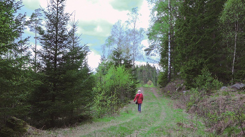 Challenged／チャレンジド 8枚目の写真・画像