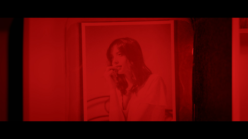 ウッドランド 7枚目の写真・画像