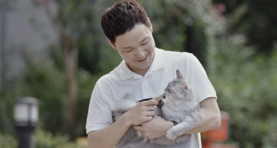 私と猫のサランヘヨ 4枚目の写真・画像