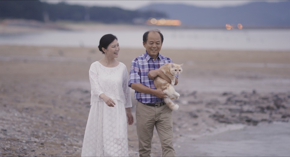 私と猫のサランヘヨ 7枚目の写真・画像