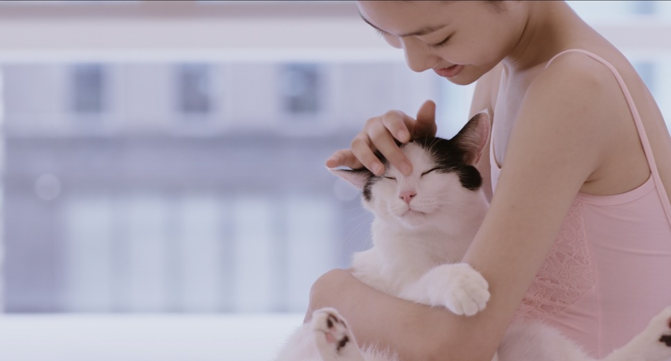 私と猫のサランヘヨ 8枚目の写真・画像