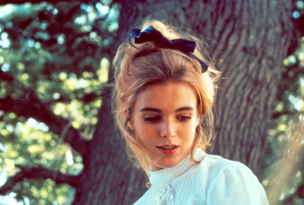 みじかくも美しく燃え 5枚目の写真・画像