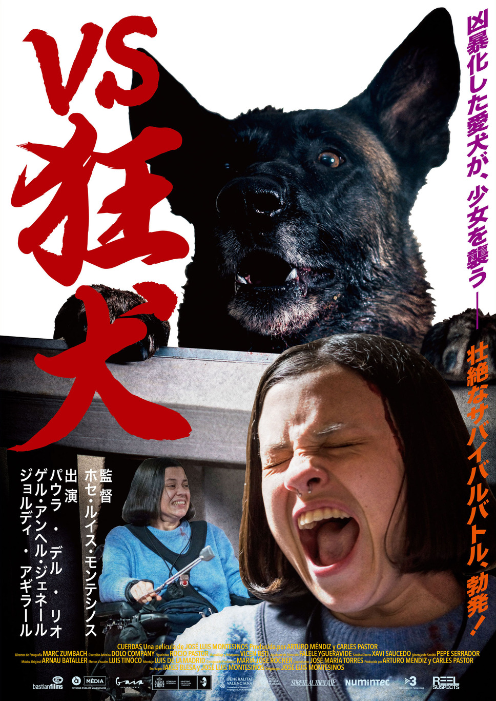 VS狂犬 1枚目の写真・画像