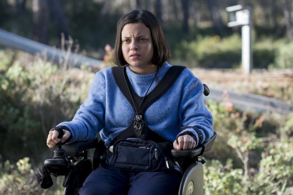 VS狂犬 2枚目の写真・画像