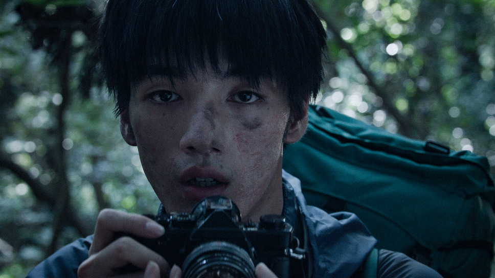 青い、森 2枚目の写真・画像