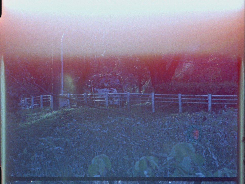 とてつもなく大きな 6枚目の写真・画像