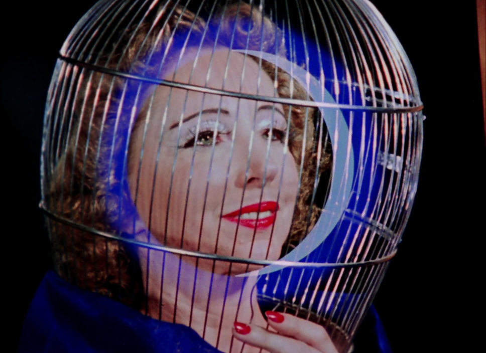 マジック・ランタン・サイクル 4枚目の写真・画像