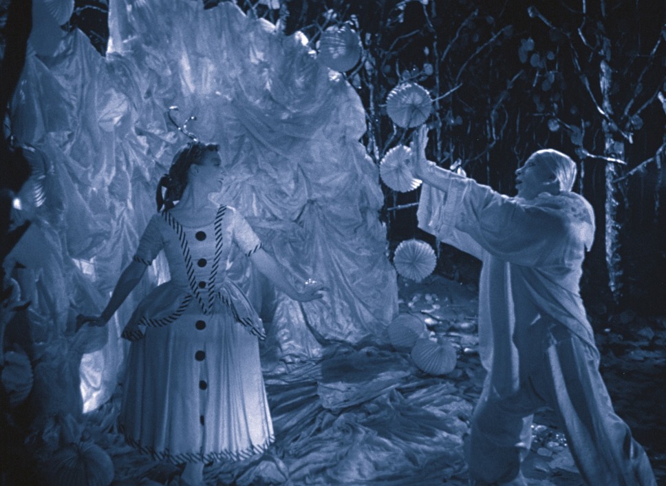 マジック・ランタン・サイクル 9枚目の写真・画像