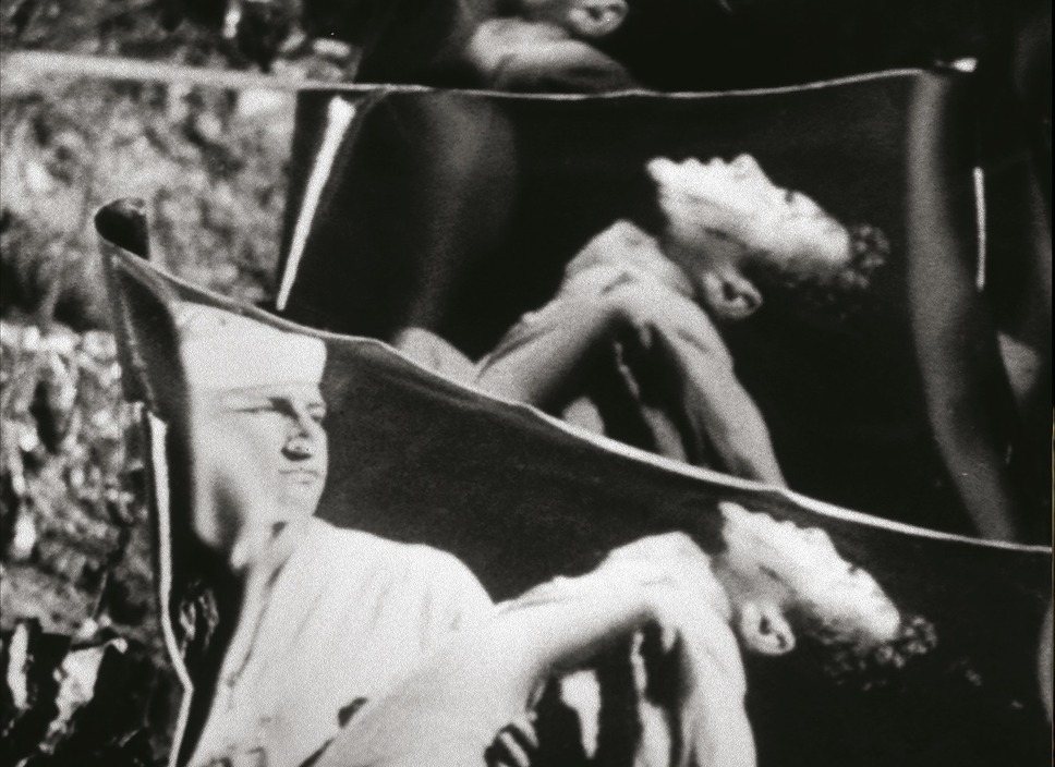 マジック・ランタン・サイクル 13枚目の写真・画像