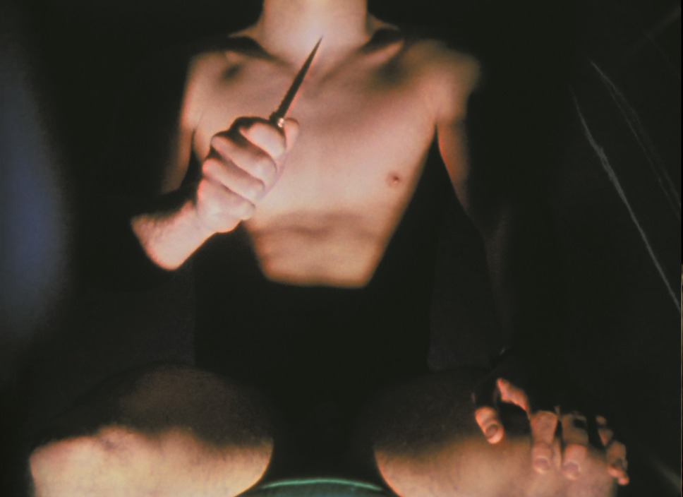 マジック・ランタン・サイクル 14枚目の写真・画像