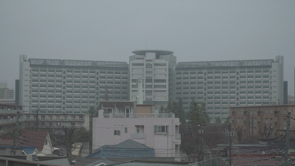 狼をさがして 10枚目の写真・画像