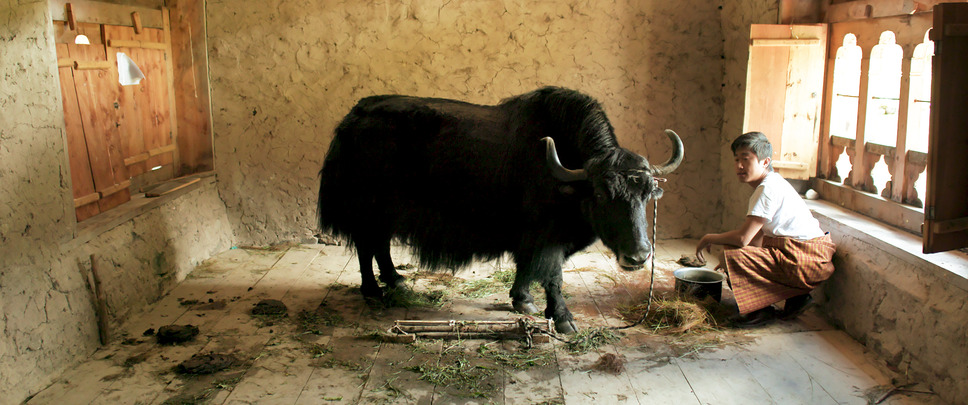 ブータン 山の教室 9枚目の写真・画像