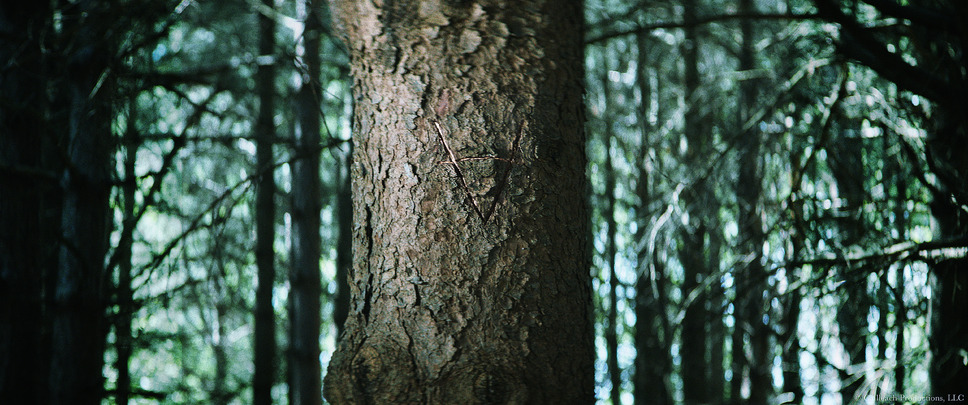 ウィッチサマー 9枚目の写真・画像
