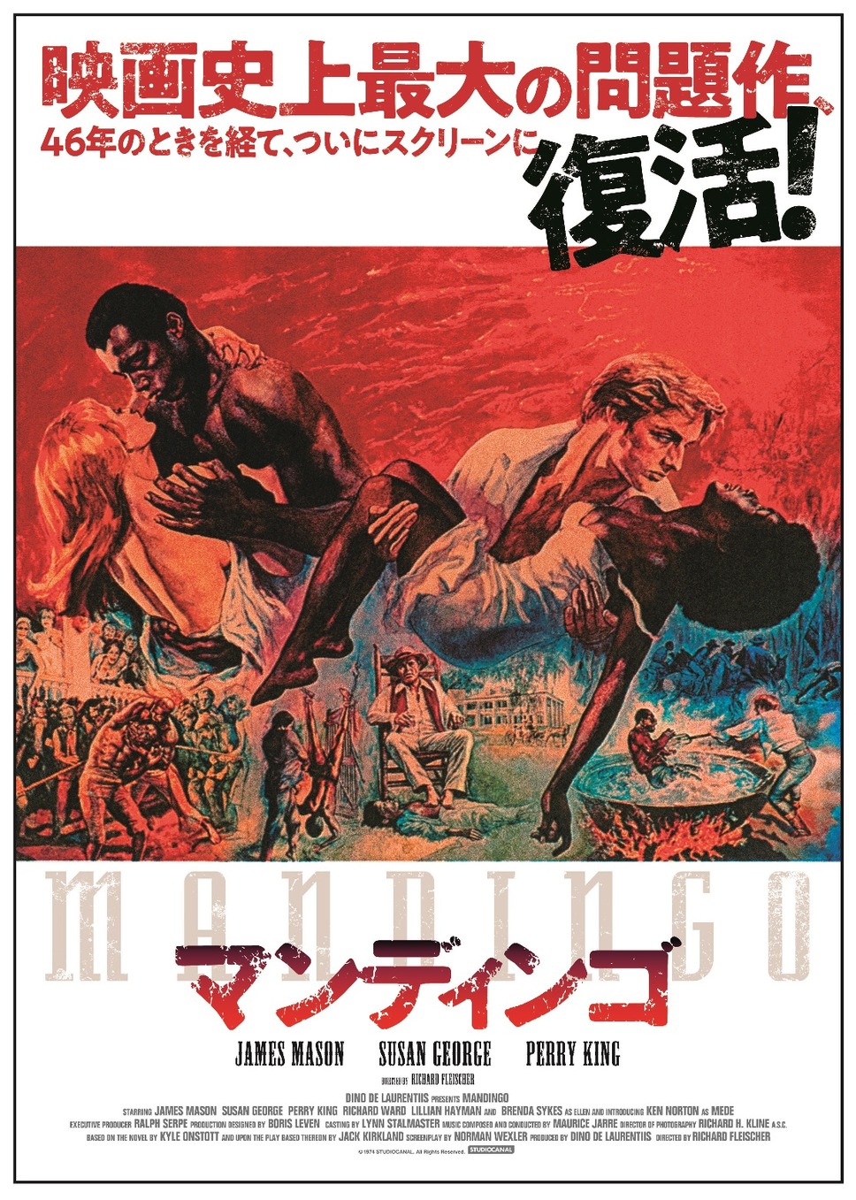 マンディンゴ 1枚目の写真・画像