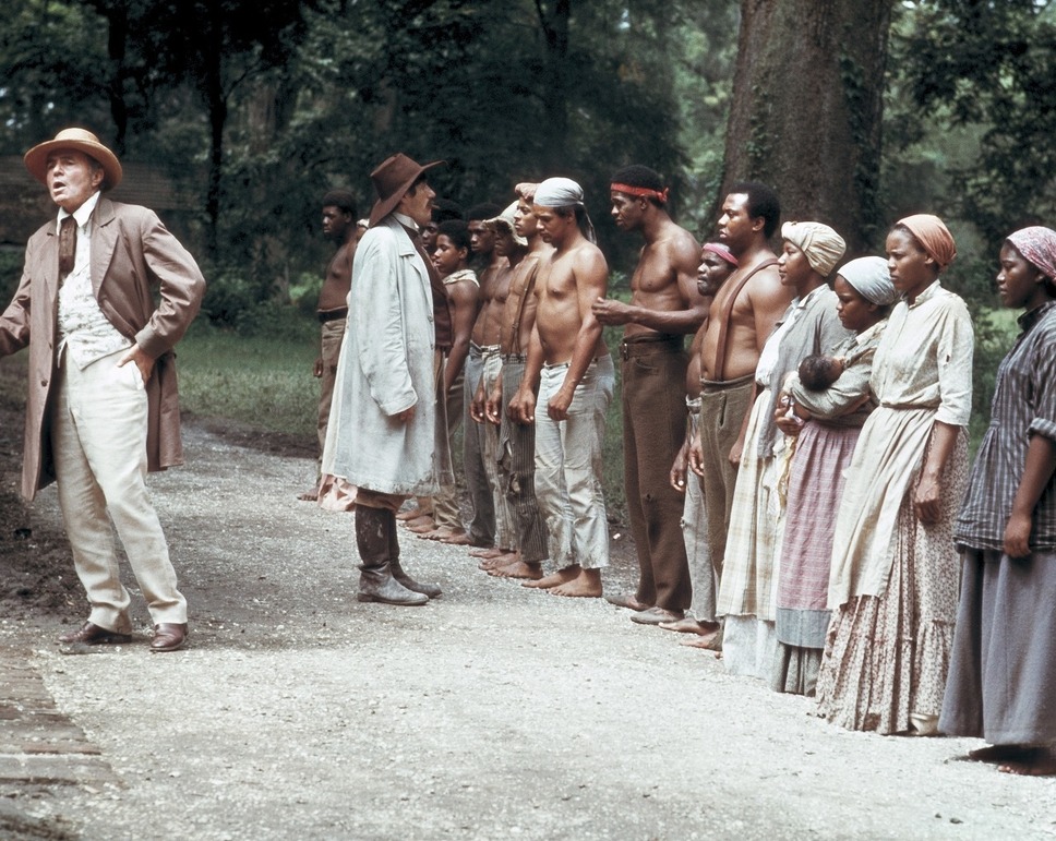 マンディンゴ 2枚目の写真・画像