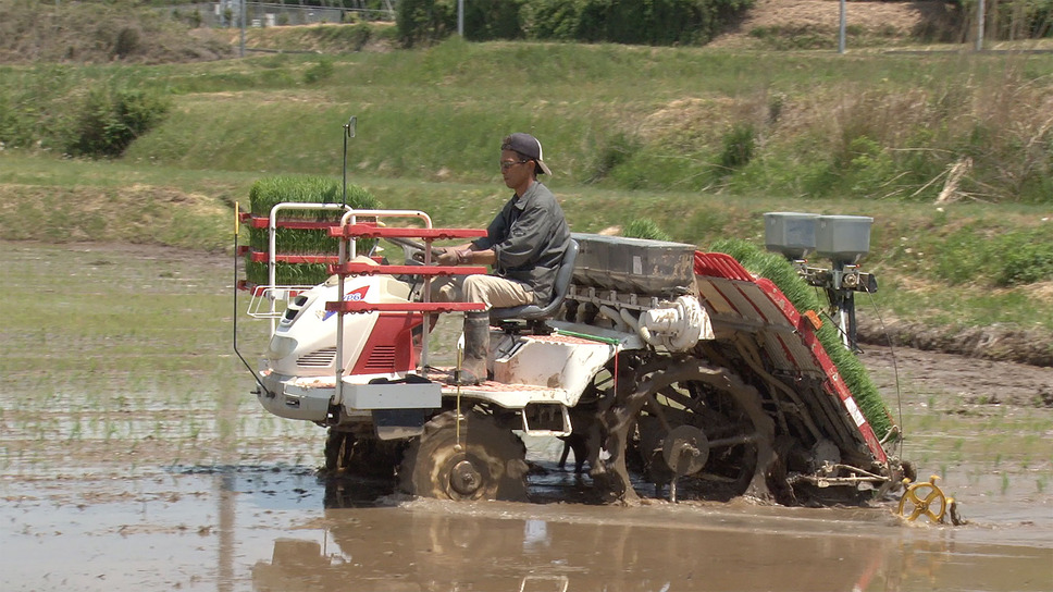 大地を受け継ぐ 7枚目の写真・画像