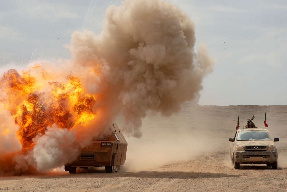 レッド・スネイク 5枚目の写真・画像