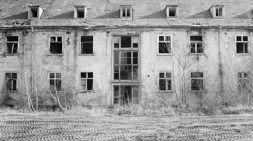 ハイゼ家　百年 3枚目の写真・画像