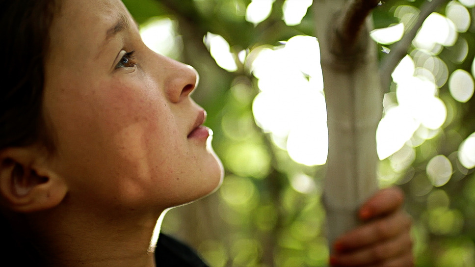 ハウス・イン・ザ・フィールズ 2枚目の写真・画像