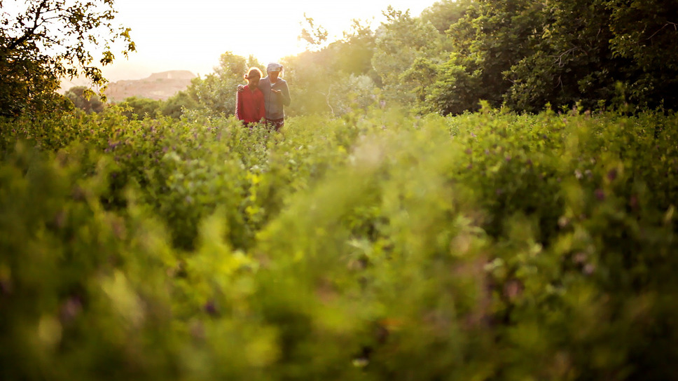 ハウス・イン・ザ・フィールズ 5枚目の写真・画像