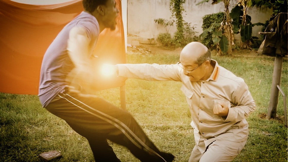 アフリカン・カンフー・ナチス 4枚目の写真・画像