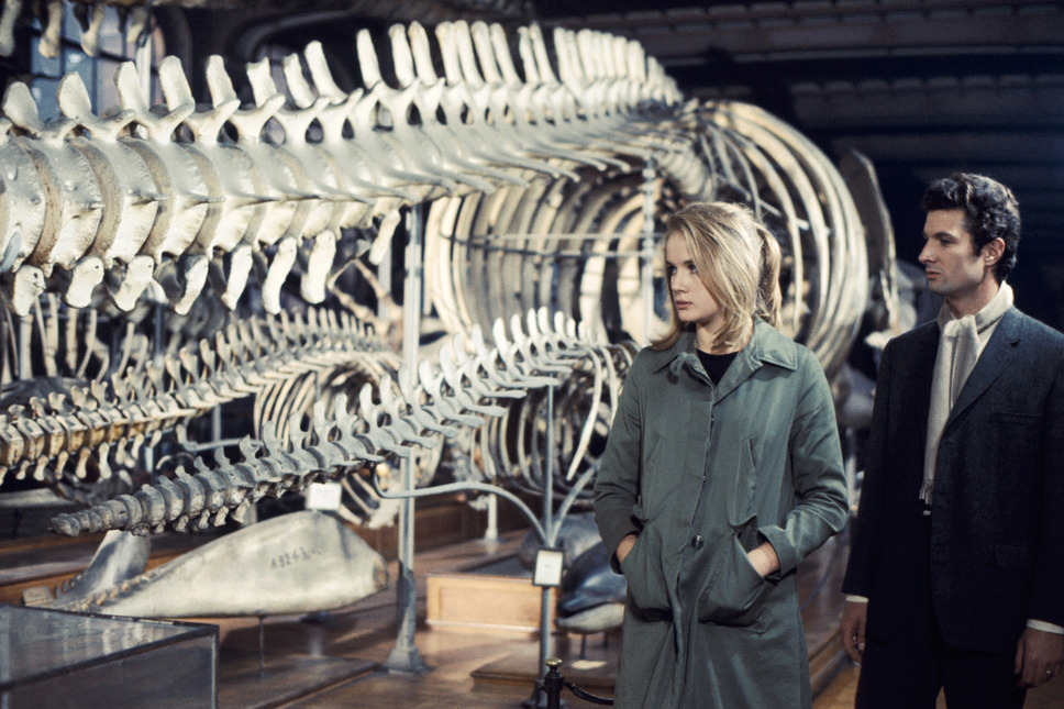 やさしい女　デジタル・リマスター版 6枚目の写真・画像