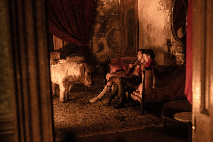 トゥルー・ヒストリー・オブ・ザ・ケリー・ギャング 10枚目の写真・画像