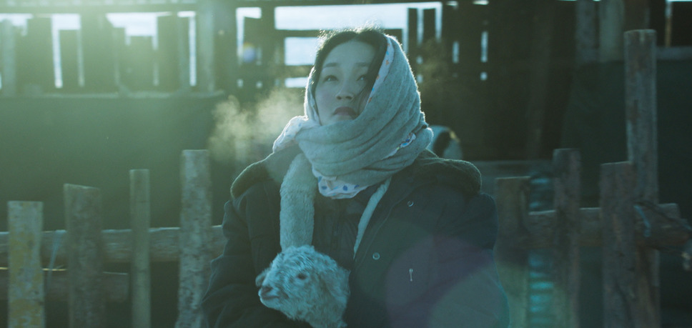 大地と白い雲 8枚目の写真・画像