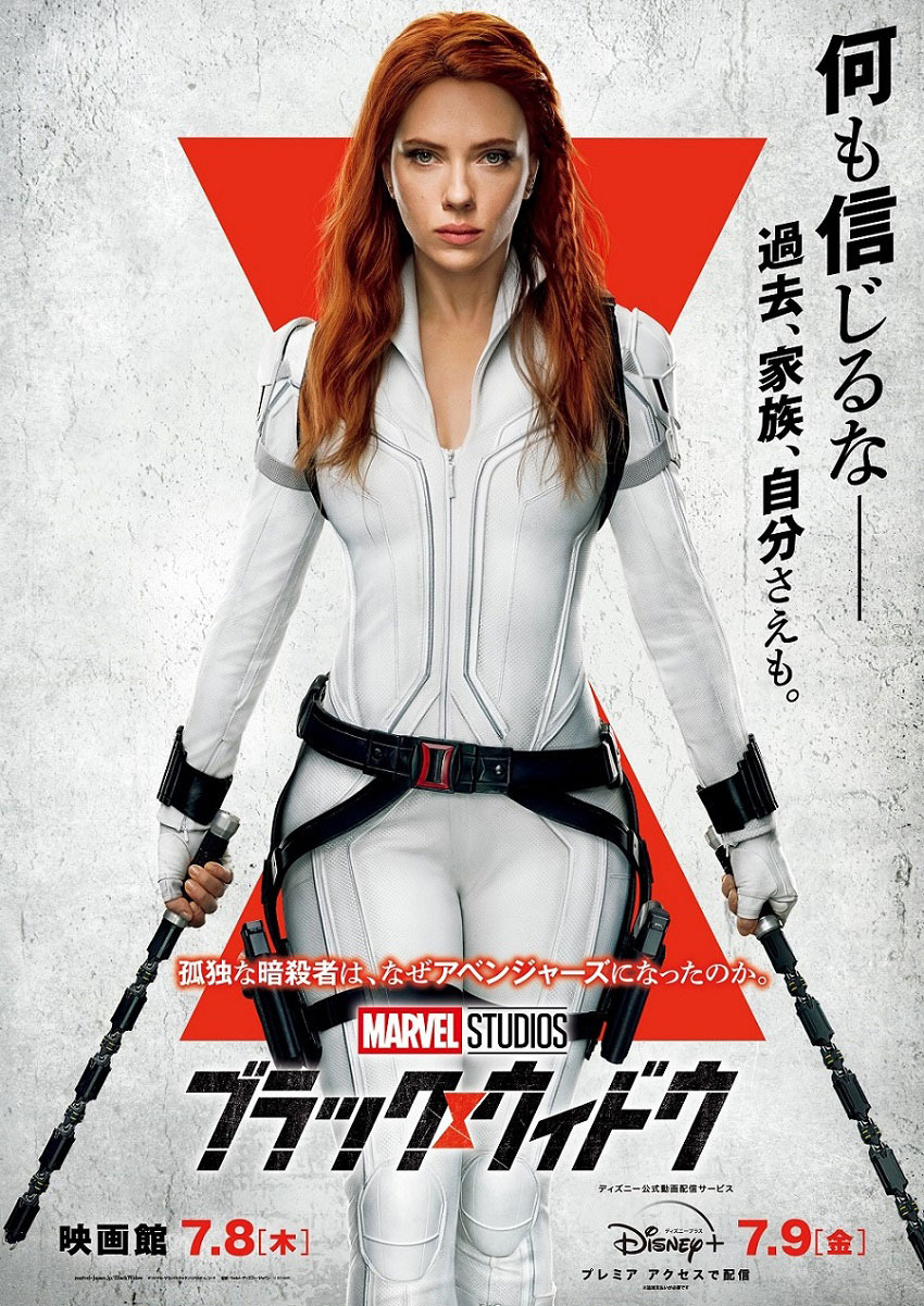 ブラック・ウィドウ 1枚目の写真・画像