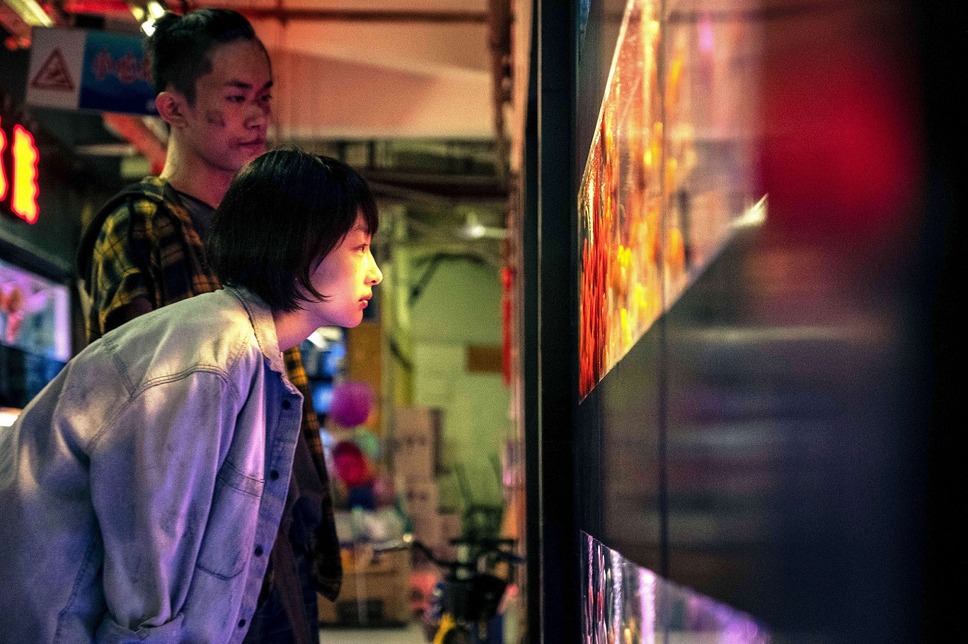 少年の君 10枚目の写真・画像