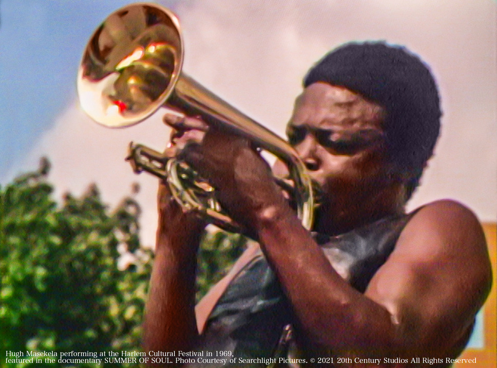 サマー・オブ・ソウル（あるいは、革命がテレビ放映されなかった時） 8枚目の写真・画像