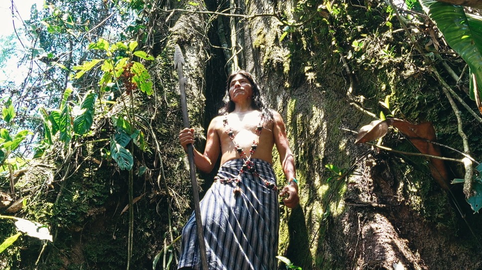 カナルタ　螺旋状の夢 5枚目の写真・画像