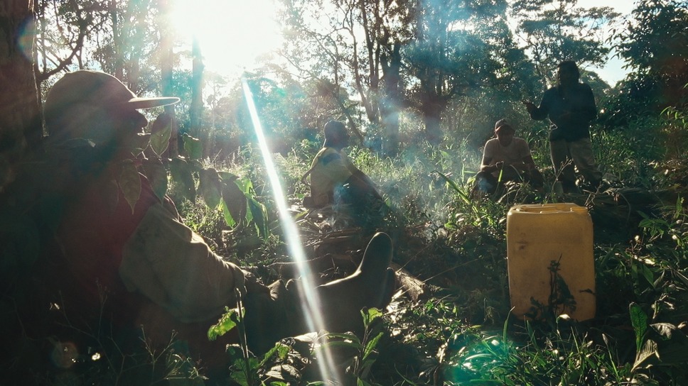 カナルタ　螺旋状の夢 7枚目の写真・画像