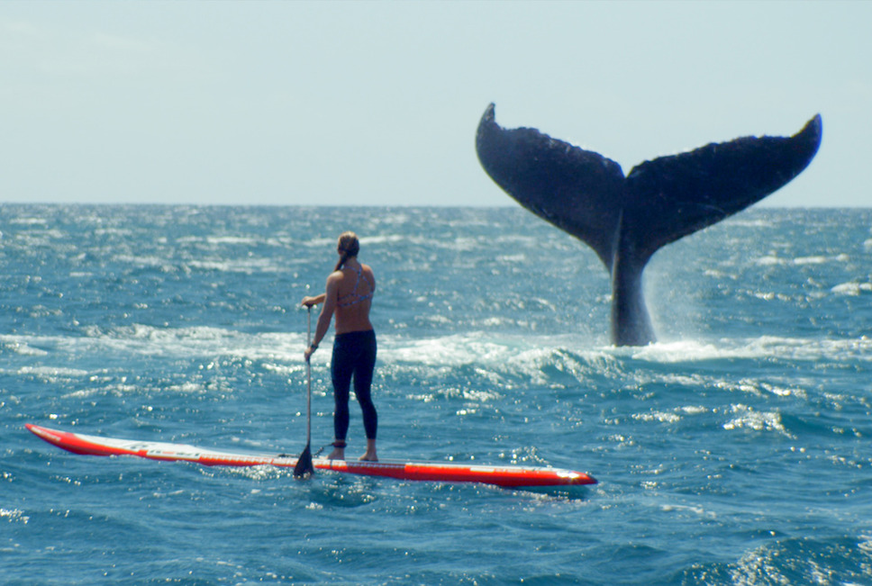 ©SHE IS THE OCEAN, INWAVES PRODUCTION. ALL RIGHTS RESERVED.