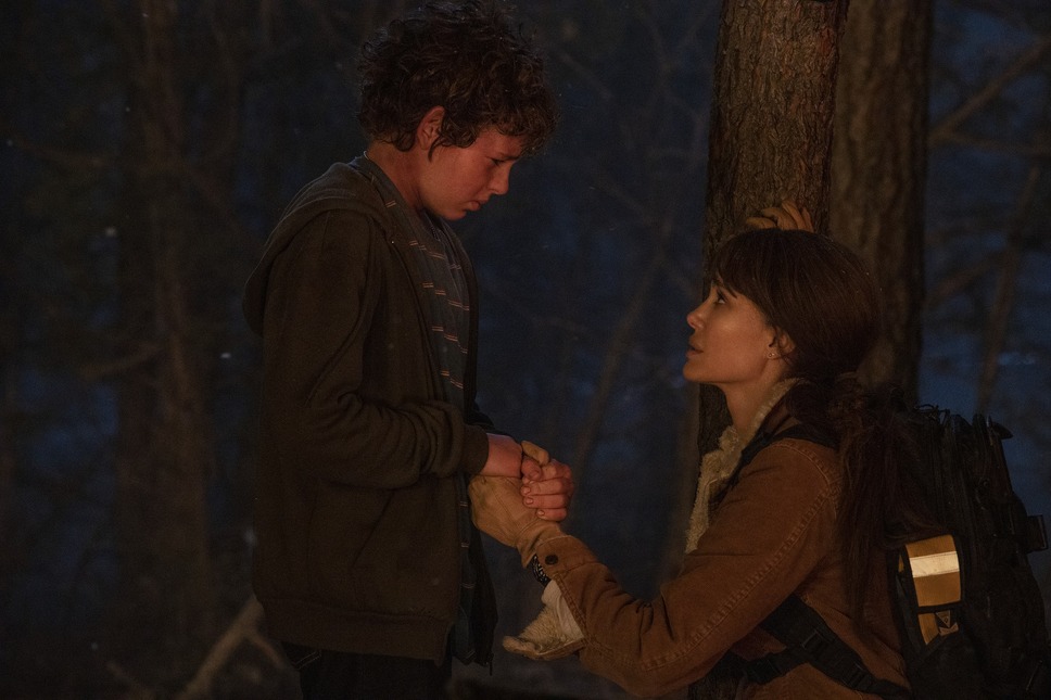 モンタナの目撃者 6枚目の写真・画像